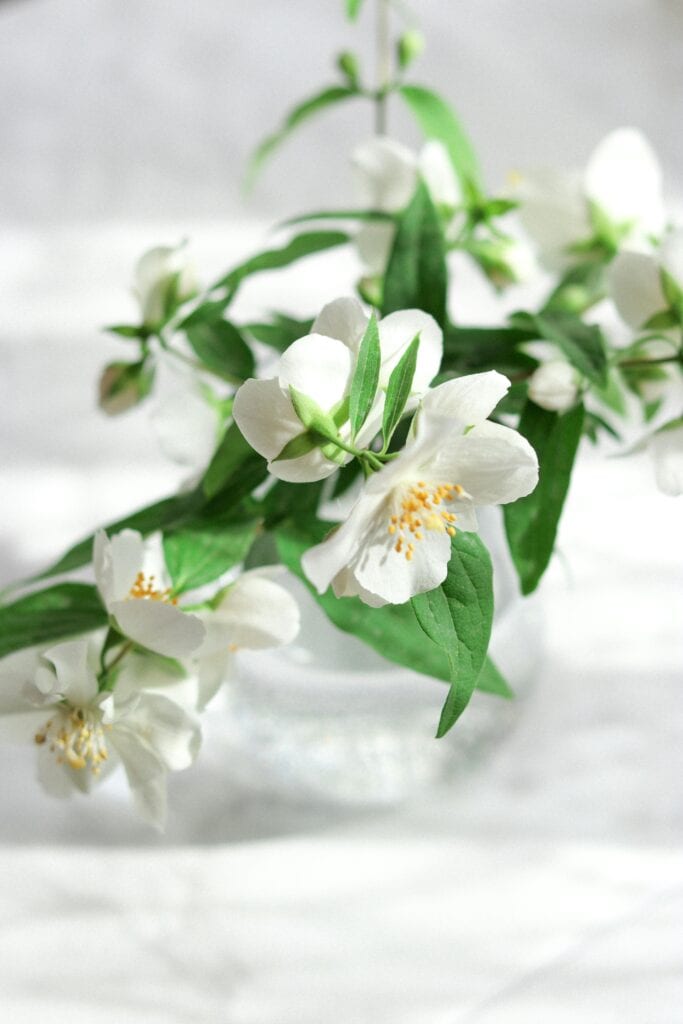 pexels-beyzaefe-8018856