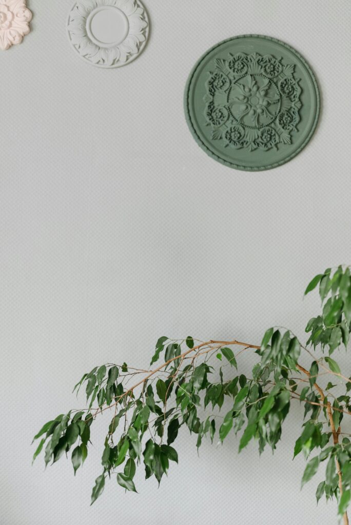 pexels-rocketmann-prod-9507096