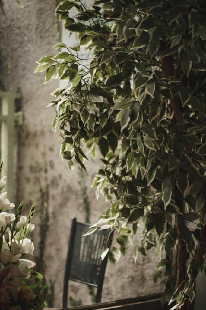 pexels-romawinamaasli-5887153